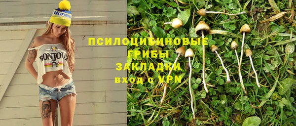 прущие грибы Балабаново