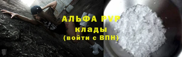 прущие грибы Балабаново