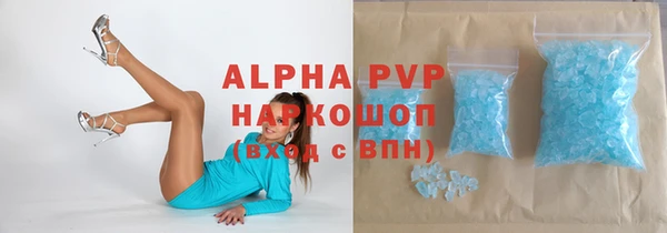 прущие грибы Балабаново