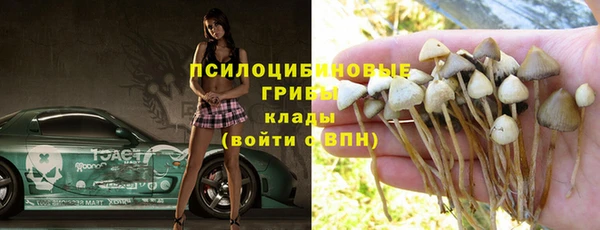 прущие грибы Балабаново