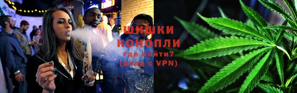 прущие грибы Балабаново
